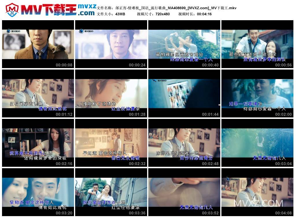 邰正宵-情难枕_国语_流行歌曲_MA408699
